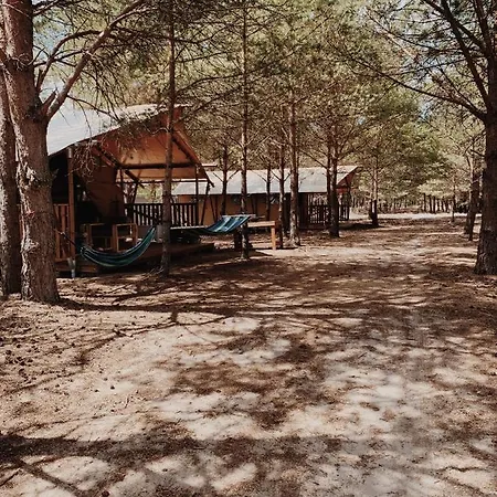 Luxury tent Kwiejcowka